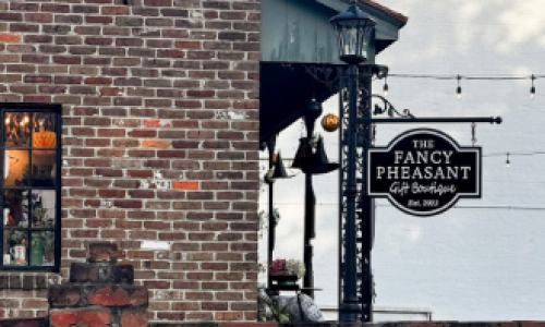 @thefancypheasantsav + @pilotandpark Cover Image